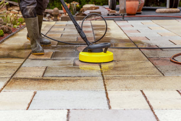 Animal Enclosure Cleaning in Madeira Beach, FL